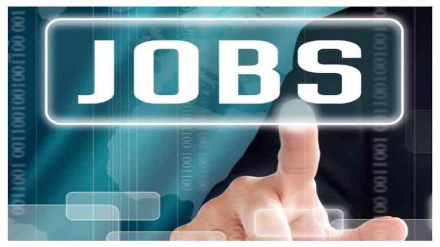 Nainital Bank Recruitment 2022 : नैनीताल बैंक में 40 रिक्त पदों पर मांगे गए आवेदन, ऐसे करें ऑनलाइन आवेदन