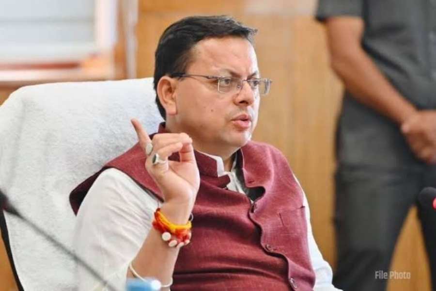 Cm-dhami-action-.jpg