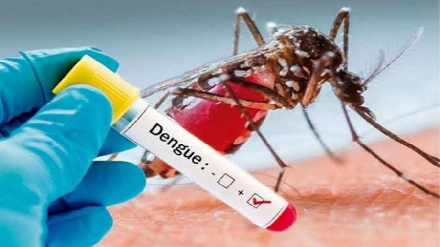 Dengue-.jpg